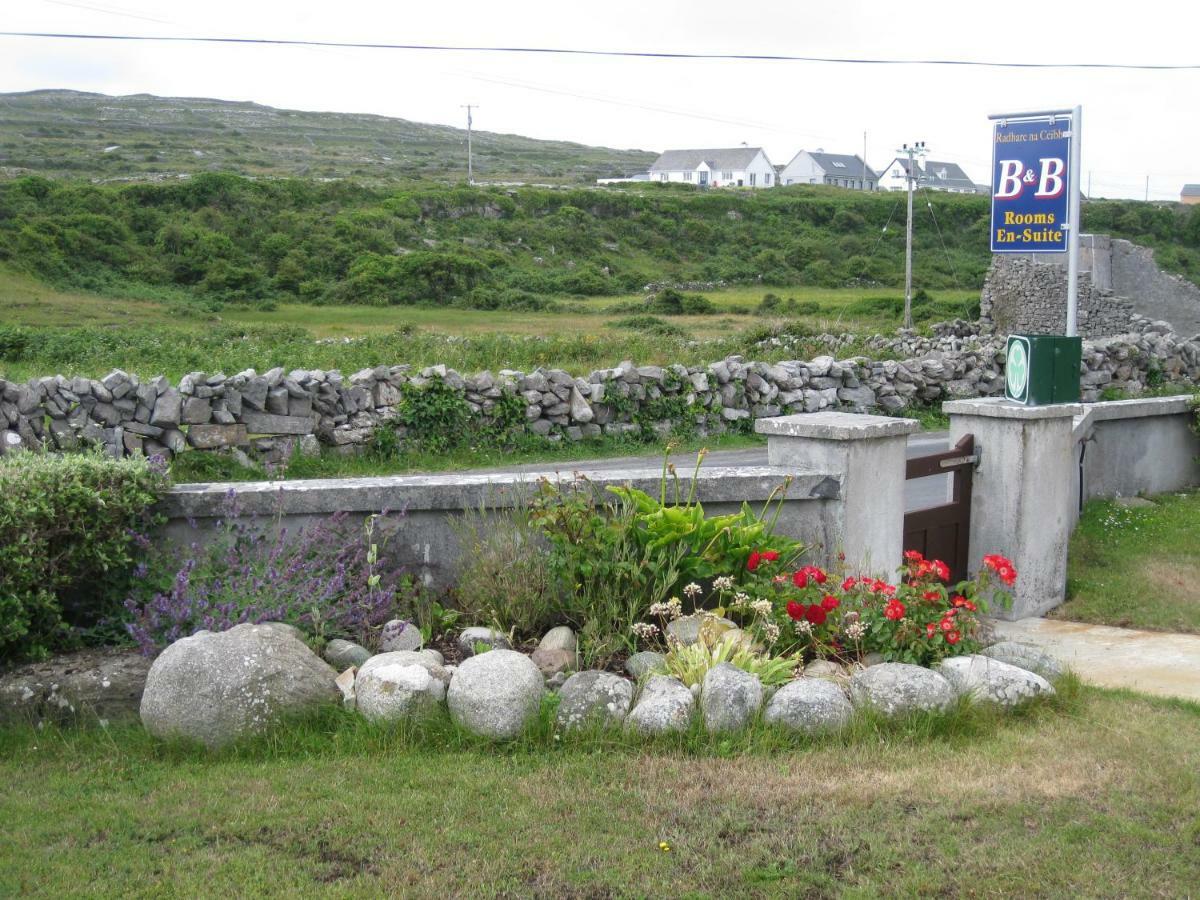 Radharc Na Ceibhe B&B H91 V0Y3 Kilronan  Екстериор снимка
